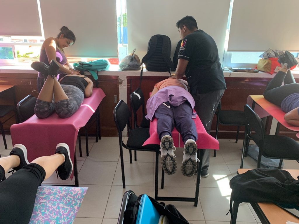 Día Mundial de la Fisioterapia