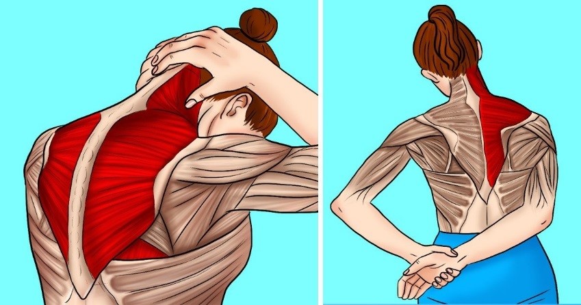 Fisioterapia